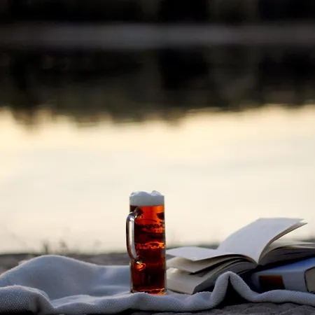 فندق Alter Hof Am Elbdeich