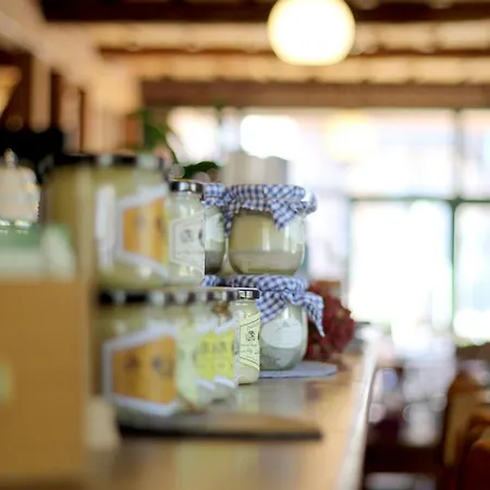 Alter Hof Am Elbdeich 3*