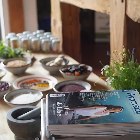 Ξενοδοχείο Alter Hof Am Elbdeich