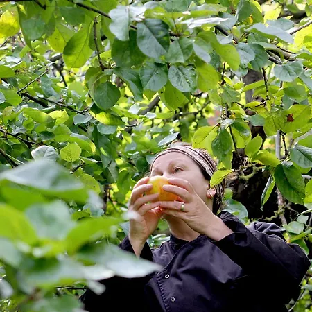 Alter Hof Am Elbdeich 3*