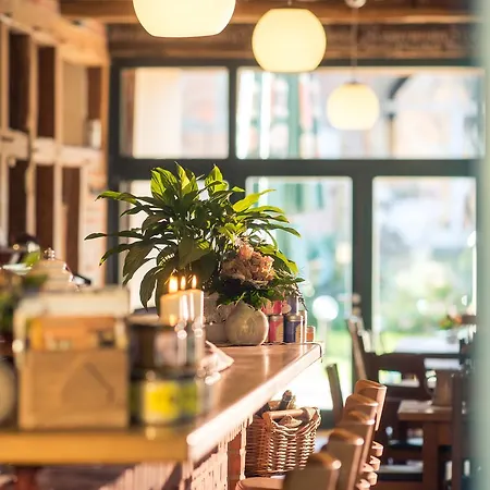 Alter Hof Am Elbdeich Ξενοδοχείο 3*