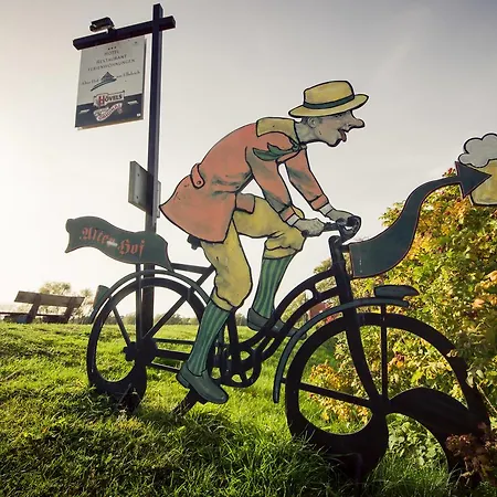 Ξενοδοχείο Alter Hof Am Elbdeich 3*