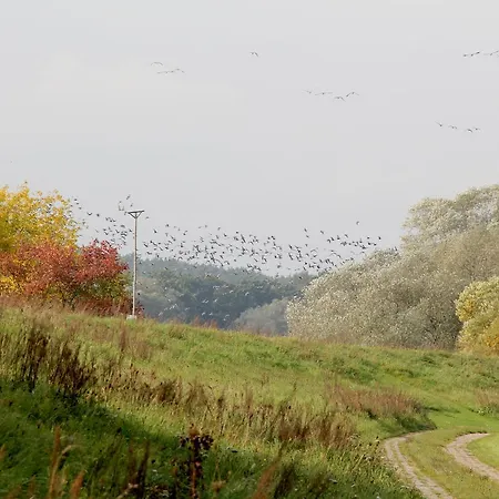 Ξενοδοχείο Alter Hof Am Elbdeich