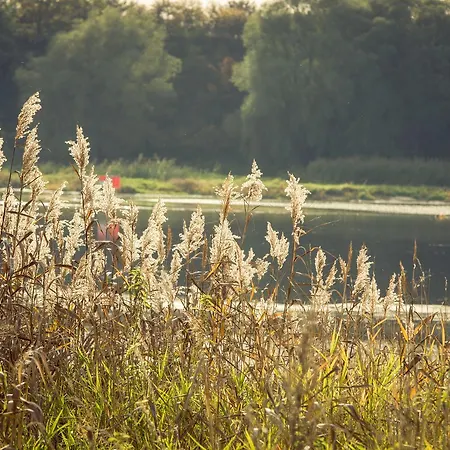 Alter Hof Am Elbdeich Ξενοδοχείο Unbesandten