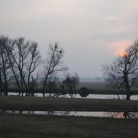 Alter Hof Am Elbdeich