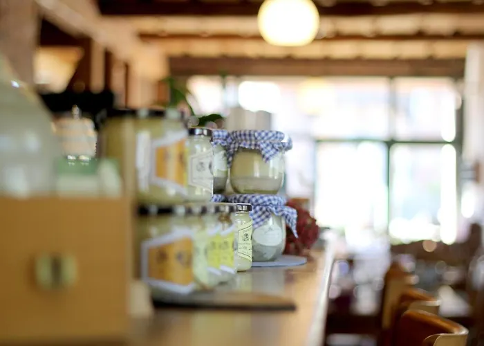 Alter Hof Am Elbdeich 3*