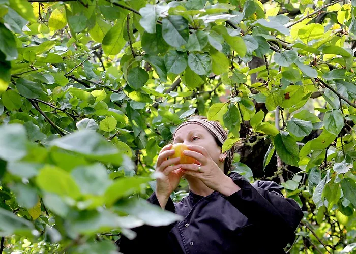 Alter Hof Am Elbdeich 3*