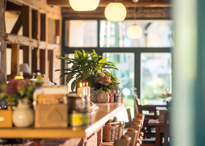 Alter Hof Am Elbdeich فندق 3*