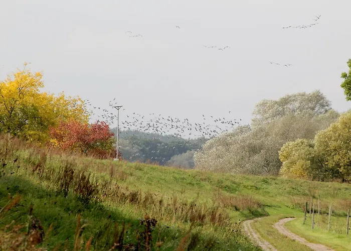 فندق Alter Hof Am Elbdeich