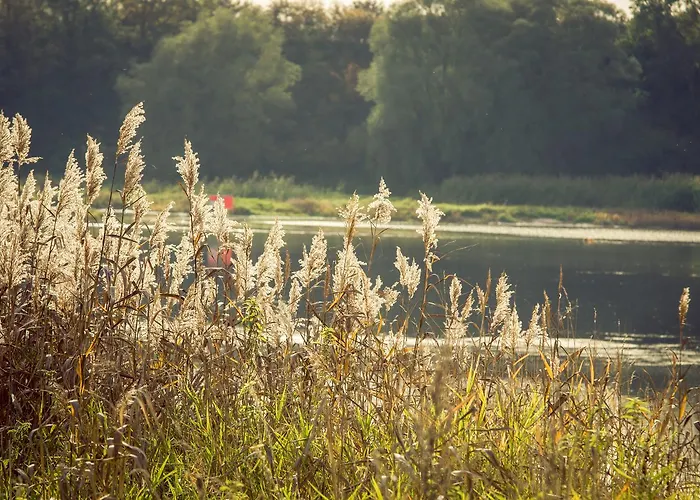 Alter Hof Am Elbdeich فندق Unbesandten