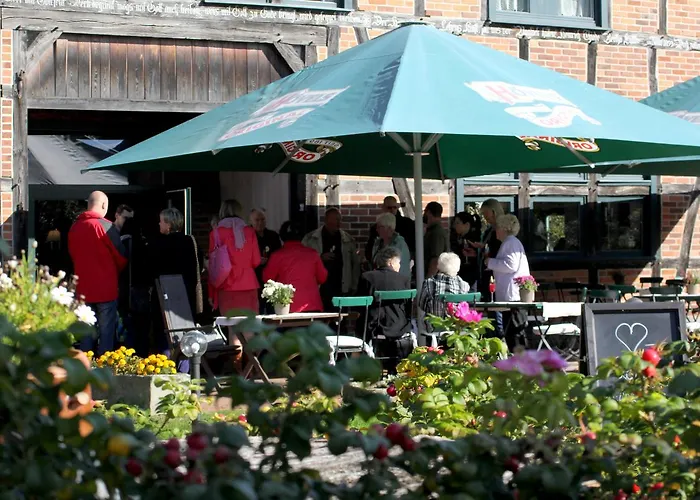 Alter Hof Am Elbdeich